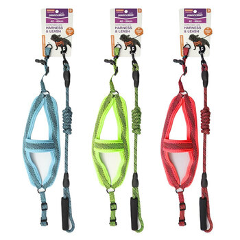 3PK Paws & Claws Mesh Lead & Harness 1.5cmx120cm 42-60cm Small Assorted