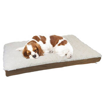 Paws & Claws 75x50cm Orthopedic Pet Bed - Brown Suede
