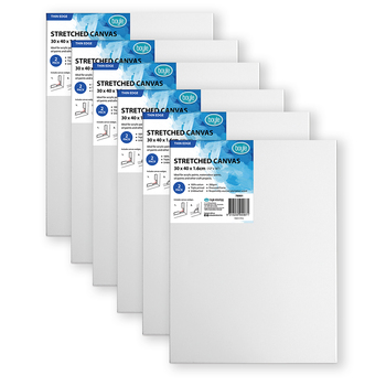 3x 2PK Boyle Thin Edge 30x40cm/12x16" Blank Stretched Canvas 280gsm