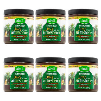 6PK Airall  3in1 Air Freshener w/ Essential Oils - Evergreen