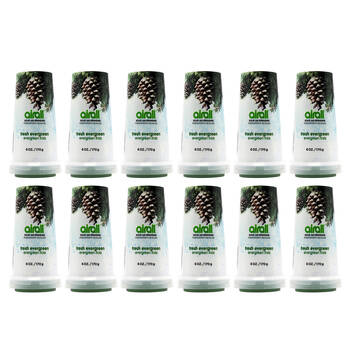 12PK Airall 170g Solid Air Freshener Evergreen Home Room Fresh Fragrance