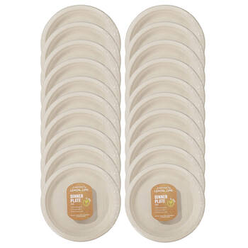 20x 12PK Lemon & Lime Sugarcane 23cm Dinner Plate - Natural