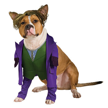 Dc Comics The Joker Pet Dress Up Costume For Dogs - Size M
