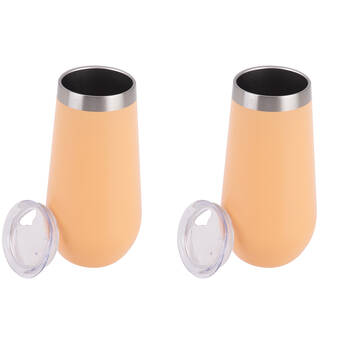 2PK Oasis Stainless Steel Insulated Champagne Flute Double Walled 180ml Rockmelon