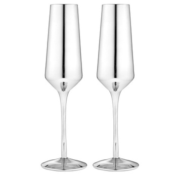 2PK Aurora Metallic 500ml Champagne Glass - Silver
