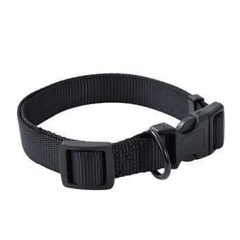 Paws & Claws Essentials Dog Collar Assorted Medium