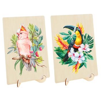 2pc Puzzle Master Toucan 2.0 and Major Mitchell Cockatoo Puzzle S6 Set 12y+