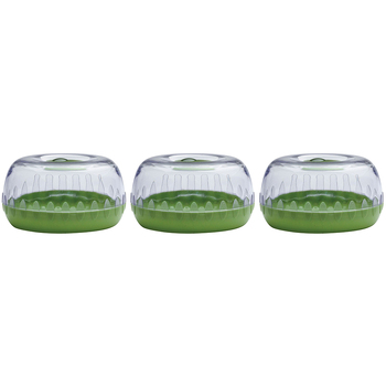 3PK Cuisena 12.5cm Plastic Fresh Avocado Keeper Pod - Green