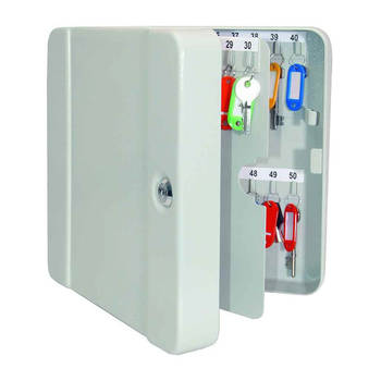 Helix 50 Keys Hooks Lockable Key Cabinet