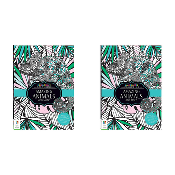 2x Kaleidoscope Colouring: Amazing Animals and More Book 