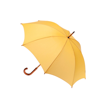 Clifton Women's Walking 103cm Wood Handle Umbrella - Yellow