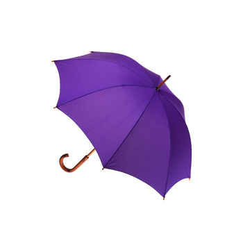Clifton Women's Walking 103cm Wood Handle Umbrella - Purple