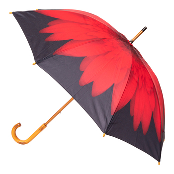 Clifton Women's Walking 103cm Wood Handle Umbrella - Red Daisy
