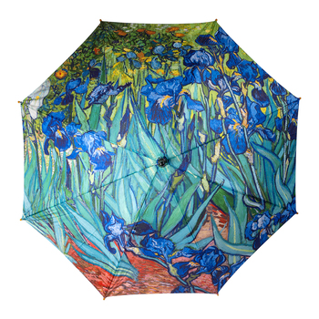 Clifton Women's Walking 103cm Wood Handle Umbrella - Iris