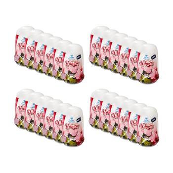 24PK Cleana Air Fresh Cone Gel Room Freshener 200g Hibiscus/Floral Fragrance 