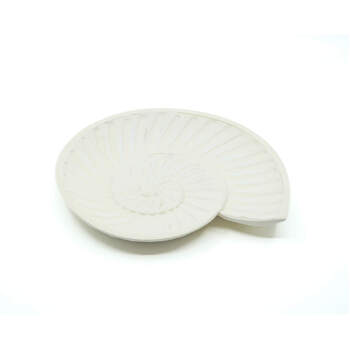 Rayell Harp Shell Trinket Tray Cream Home Decor/Storage 23x20x2cm