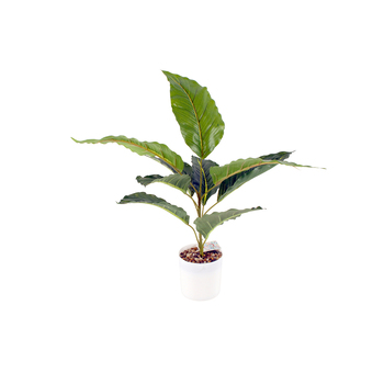Maine & Crawford 48cm Philodendron Artificial Plant In White Pot