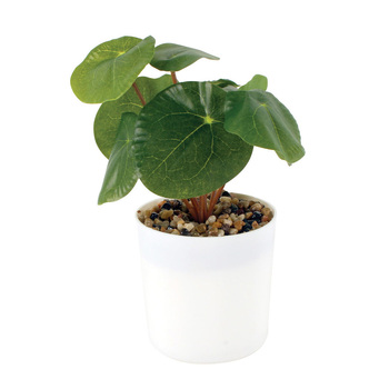 Maine & Crawford 22cm Money Artificial Plant In White Pot