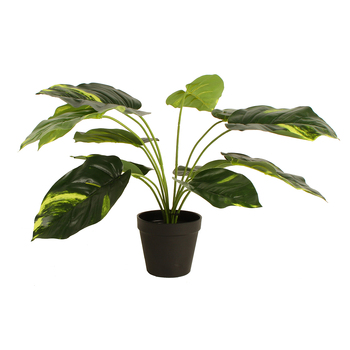 Maine & Crawford 45cm Potted Devils Ivy Artificial Plant