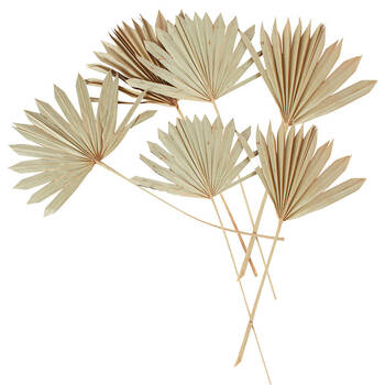 4x 2pc Maine & Crawford 55cm Artificial Sun Spear Plant - Natural