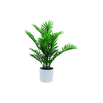 Maine & Crawford 40cm Plastic Mini Palm Real Touch in White Pot
