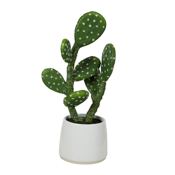 Life Botanic 40cm Cactus In Ceramic Pot