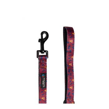 AFL Brisbane Lions Pet Dog/Puppy Walking Lead/Leash 150cm