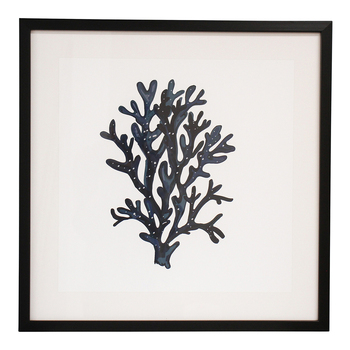 LVD Framed Glass/Resin 50x50cm Print Sea Fan 2 Wall Hanging Art