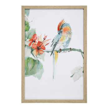 LVD Print Crested Parrot 40x60cm Glass/Resin Framed Wall Art Display