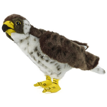 Living Nature Naturli Peregrine Falcon 20cm  