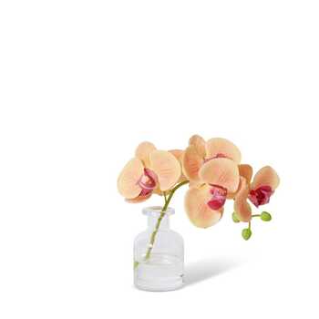 E Style Artificial 25cm Plastic Phalaenopsis Orchid in Vase - Apricot