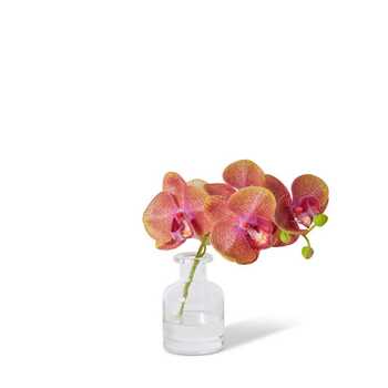 E Style Artificial 25cm Phalaenopsis Orchid in Vase - Green/Burgundy