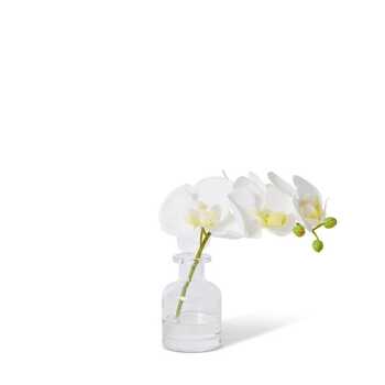 E Style Artificial 25cm Plastic Phalaenopsis Orchid in Vase - White