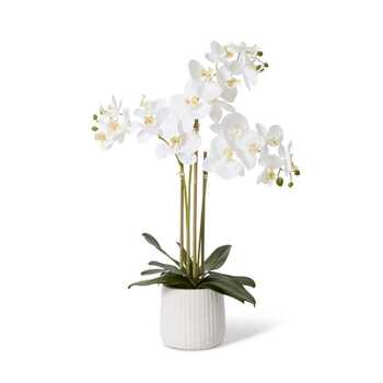 E Style Artificial 60cm Plastic Phalaenopsis Ribbed Pot - White/Cream
