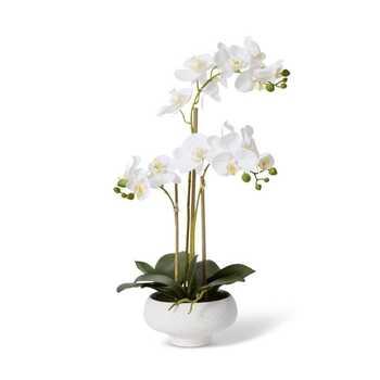 E Style Artificial 60cm Plastic Phalaenopsis Footed Bowl - White/Cream