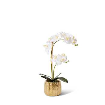 E Style Artificial 48cm Plastic Phalaenopsis Aurora Bowl - White/Gold