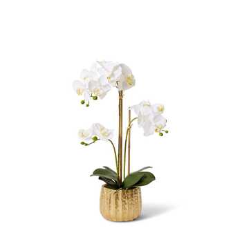 E Style Artificial 56cm Plastic Phalaenopsis Aurora Bowl - White/Gold