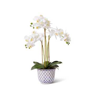 E Style Artificial 66cm Plastic Phalaenopsis Abigail Bowl - White/Blue