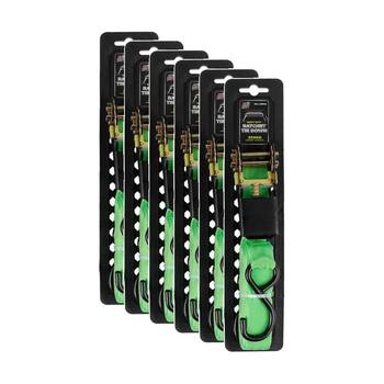 6PK AutoShift Heavy Duty Ratchet Tie Down 250kg Capacity w/Auto-Lock 4m Green