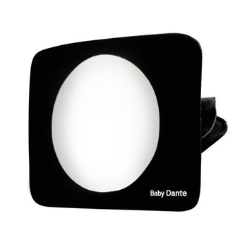 Roger Armstrong Travel Safe Full View Safety Mirror 