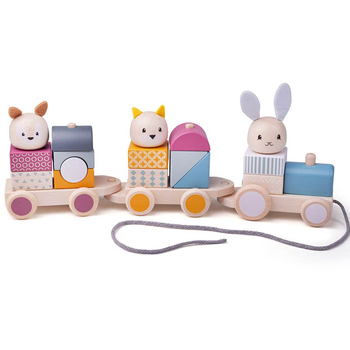 Bigjigs Toys 38cm FSC Activity Pull Along Train Kids Wooden Stacking Toy 12m+