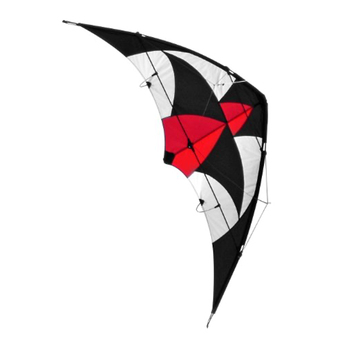 Regent 150x74cm Dual Lines Harrier Kite Outdoor Flying Sports 12y+