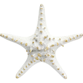 LVD Resin Starfish Decorative Home Display Sculpture 21x19cm Off-White