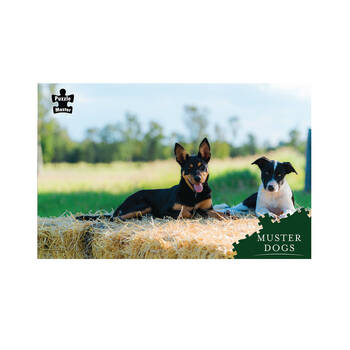 1000pc Puzzlemaster Jigsaw Puzzle Muster Dogs Best Mates Kelpie Collie 12y+