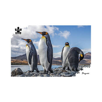 1000pc Puzzlemaster Jigsaw Puzzle Penguins Save The Planet Series 12y+