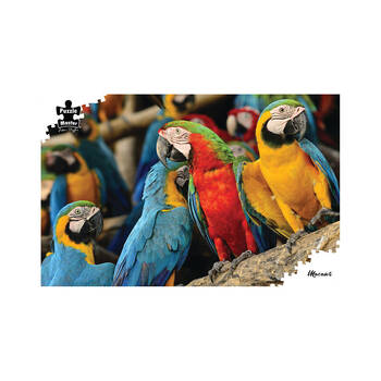 1000pc Puzzlemaster Jigsaw Puzzle Macaws Save The Planet Series 12y+