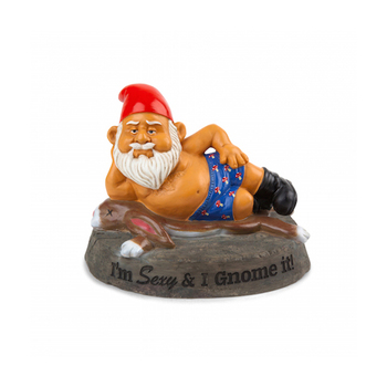 BigMouth Inc. 23cm The S*xy & I Gnome It Garden Gnome Ornament Decor