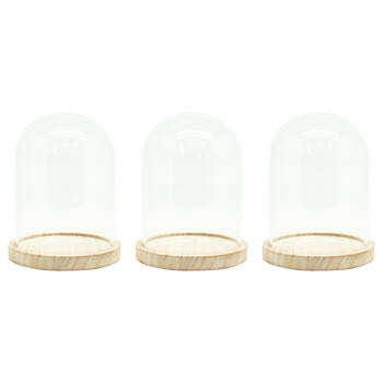 3PK Boyle Glass Cloche w/Wooden Base Display Case for Art/Collectables 17cm
