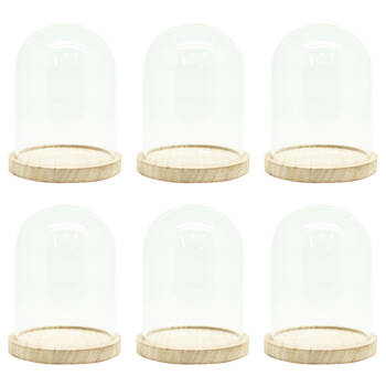 6PK Boyle Glass Cloche w/Wooden Base Display Case for Art/Collectables 17cm