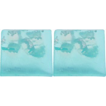 2PK Bomb Cosmetics Dead Sea Salt Scented Soap Slice Bar